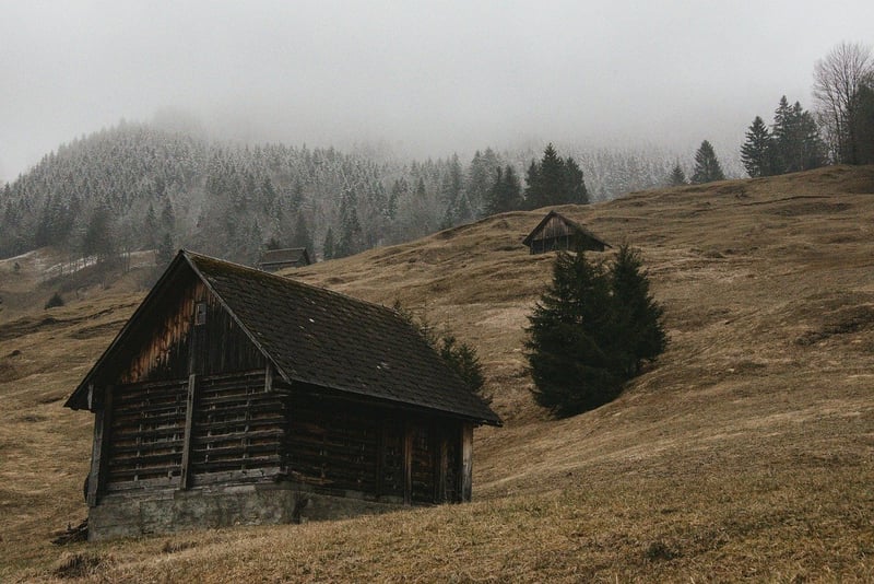 Cabin in the Woods